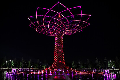 Tree of Life EXPO 2015