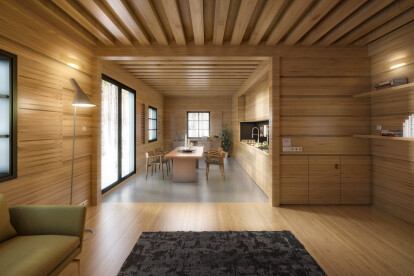 Modern Wooden House