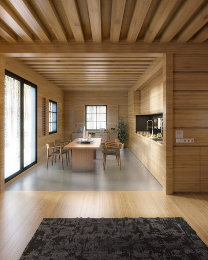 Modern Wooden House