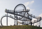 Tiger & Turtle