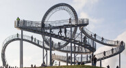 Tiger & Turtle