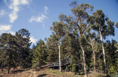 Pigeon Loft (La Palomera)