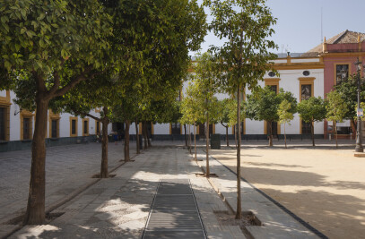 PROTECTION OF THE ARCHAEOLOGICAL EXCAVATION IN THE PATIO DE BANDERAS. SEVILLA