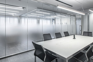 Madras® Nuvola. Gradient satin glass for partition