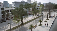 Urban of Regeneration of Presidente Masaryk Avenue