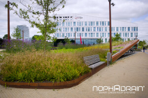 Extensive Green Roof System