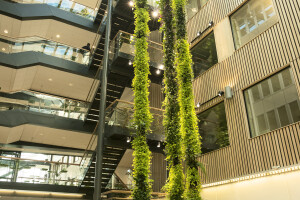 Plantwire, hanging garden