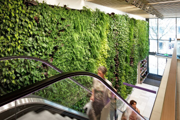 Plantwall and vertical garden with automated irrigation systems Plantwall and vertical garden with automated irrigation systems