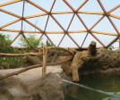 Amazonica Dome Rotterdam Zoo