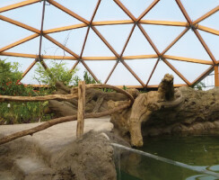 Amazonica Dome Rotterdam Zoo