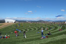 The National Arboretum