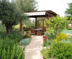 Garden in Jerusalem