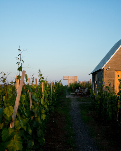 Wine Terrace and Spa