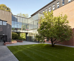 quad view showing retained tree