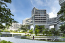 The Interlace