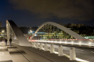 Schuman Bridge on the Saône