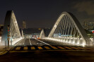 Schuman Bridge on the Saône