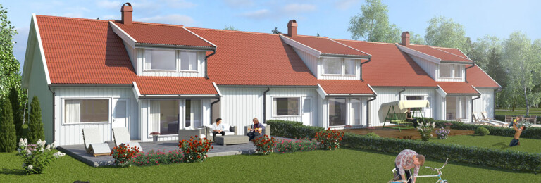 Exterior visualization  Modern Scandinavian houses.