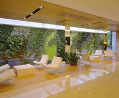 Sundar Italia vertical garden