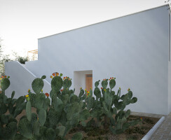 House between prickly pears - Renato Pucci