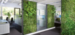 CP Furniture Inc. natural green wall office partitions