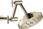 Brizo Litze Articulated Jointed Shower