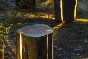 Stump Light