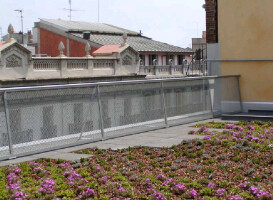 TF Green Roofs