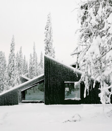 Wood Houses Dressed in Black