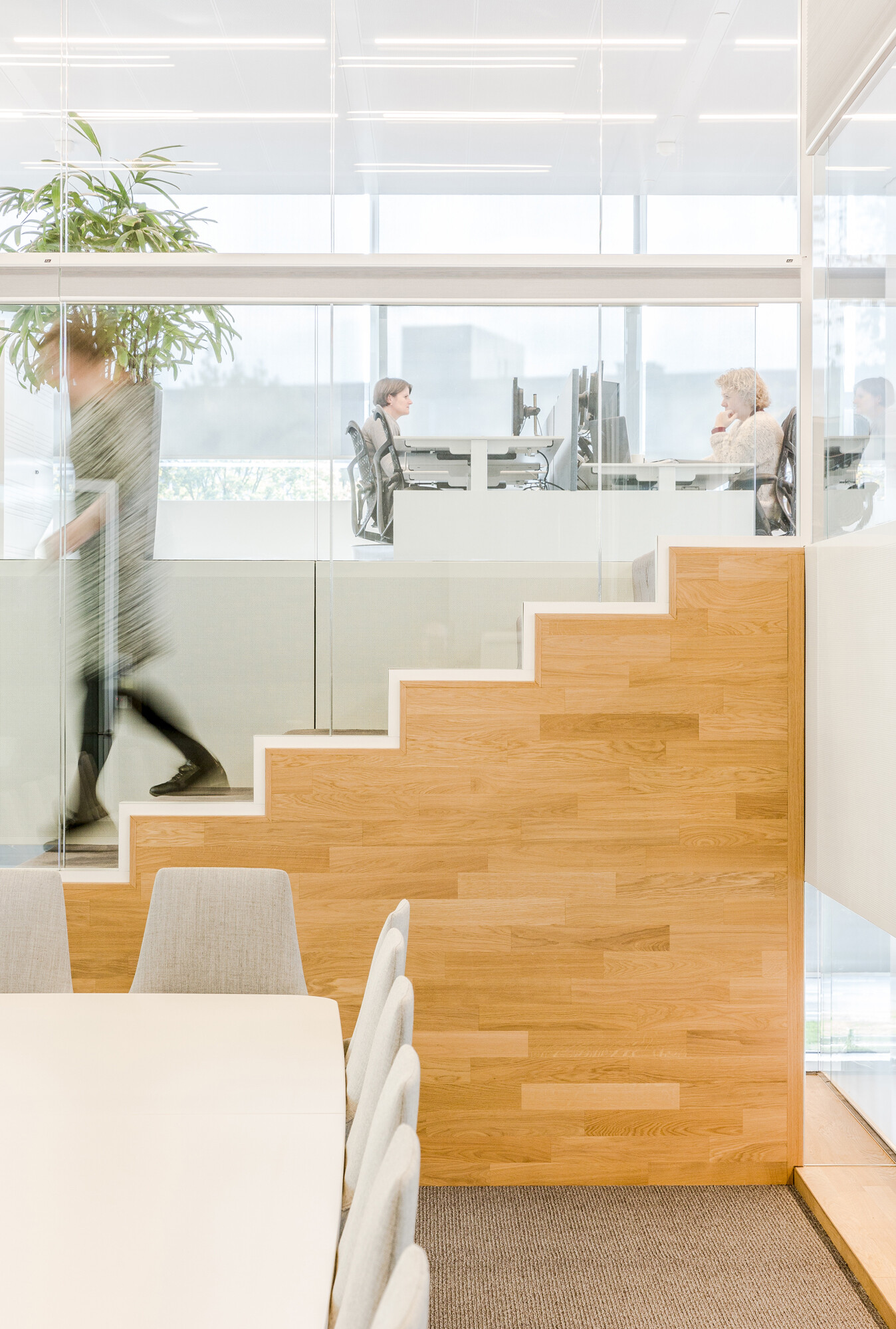 https://archello.com/story/49896/attachments/photos-videos/9 photo_credit Lucas van der Wee