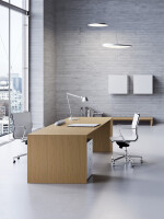 MultipliCeo Executive System