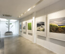 Gallery / reception