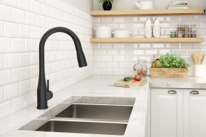 Sereno® Pull-Down Kitchen Faucet