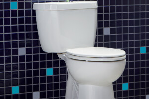 Original Stealth Dual Flush toilet