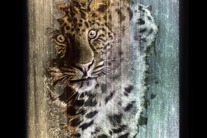 LEOPART