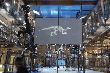 Switchable Projection Film Switchable Projection Film