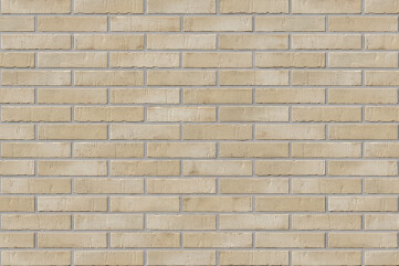 Kontur EG beige engobiert DF Kontur EG beige engobiert DF
