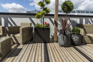 Timber Decking