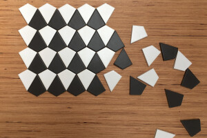 Tomette hexagonale en 6 modules décalés