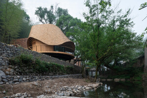 Yuyao Treewow Tribe