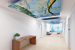 CoArt Acoustic Ceiling Cloud