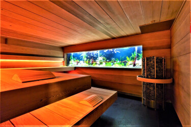 Traditional Sauna With Aquarium