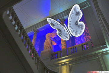 Barrisol® - Butterfly by Chantal Thomass Barrisol® - Butterfly by Chantal Thomass
