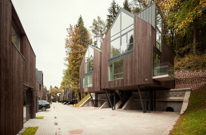 A house in the forest