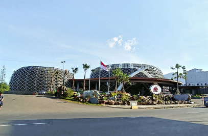 Pine Cone of Royal Safari Garden