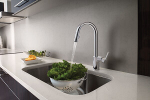 Align One-Handle High Arc Pulldown Kitchen Faucet in Chrome