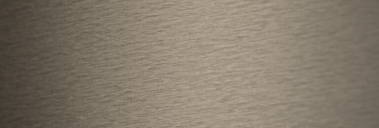 Roofinox Dura surface detail - Champagne