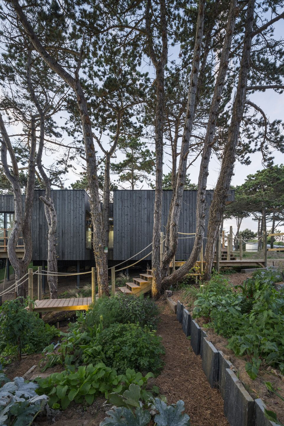 https://archello.com/story/61891/attachments/photos-videos/10 photo_credit Cyril folliot
