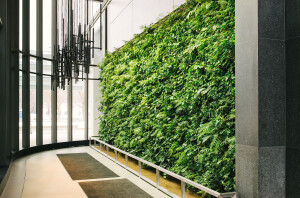 Multi-family Living Wall Biofilters