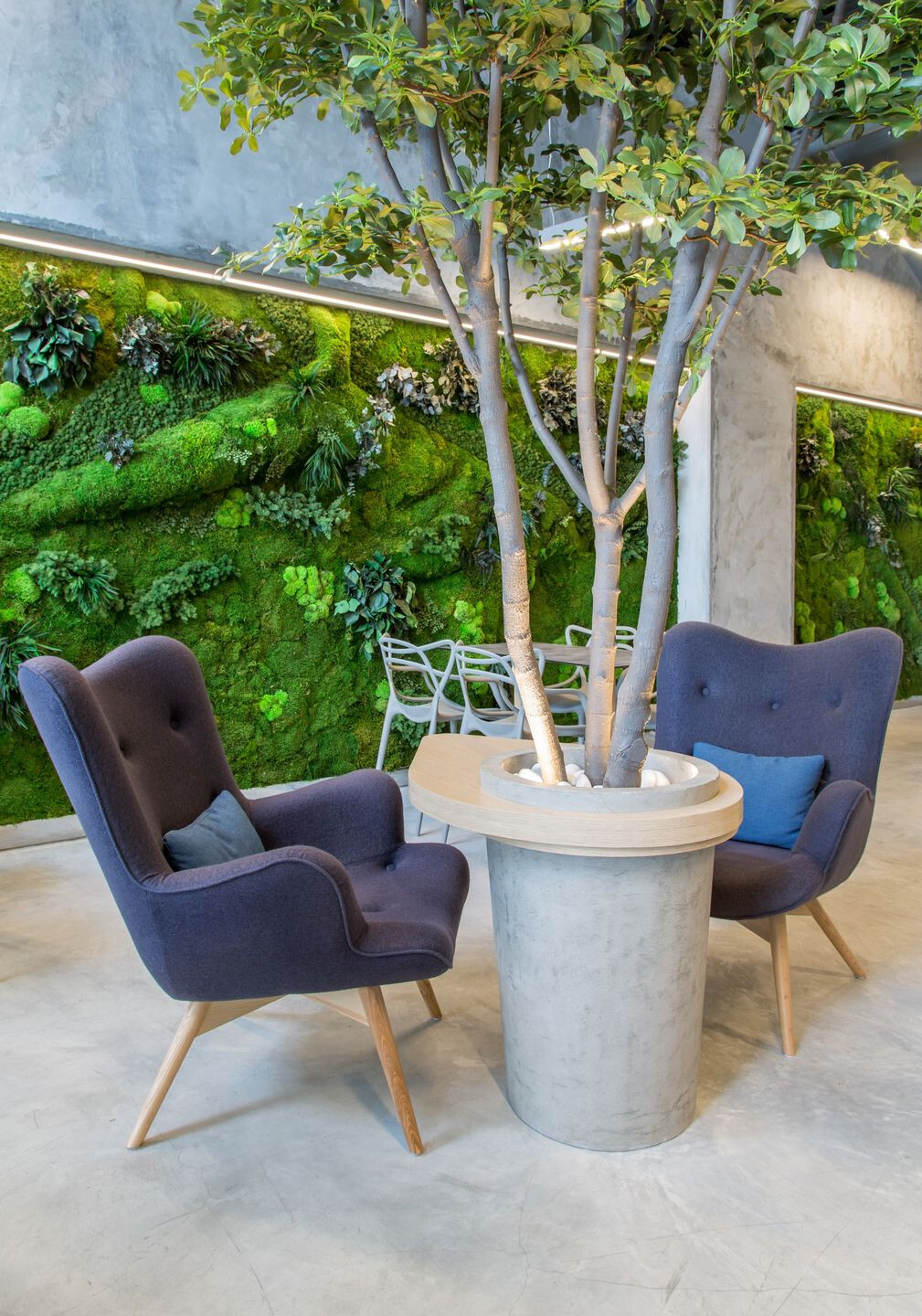 https://archello.com/story/61965/attachments/photos-videos/2 photo_credit Propixel Panamá